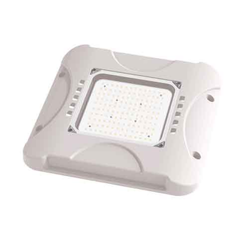 LED Canopy Light